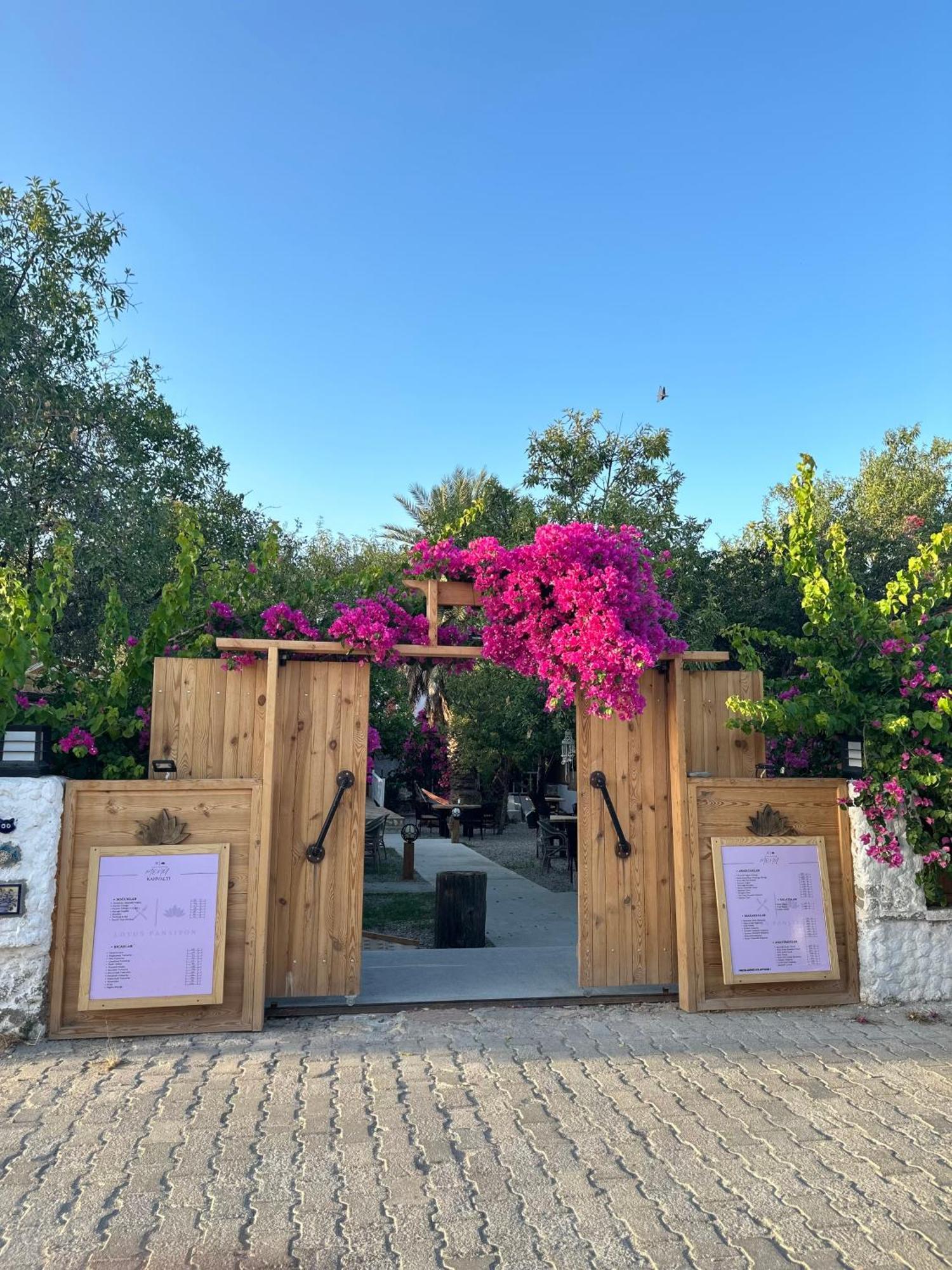 Bed & Breakfast Mavi Lotus